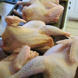 Whole Chicken 5  lbs